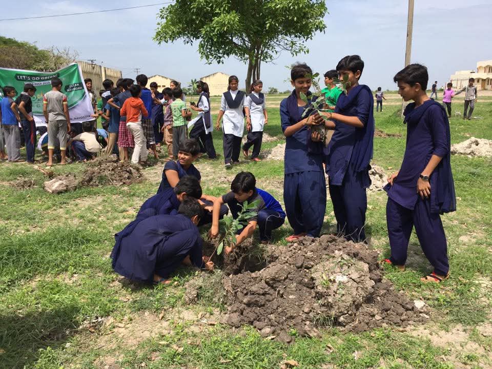Planting roots for the batches and generations yet to come.